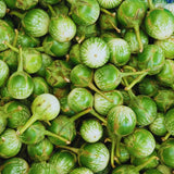 100 Green Eggplant Seeds for Planting, Eggplants Seeds, Vegetable Plant Garden