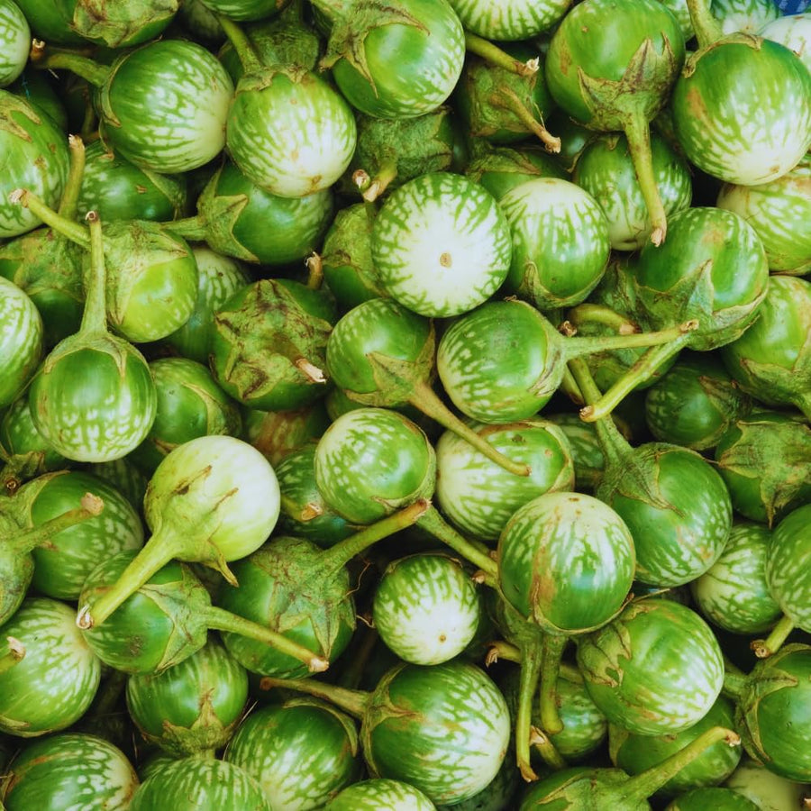 100 Green Eggplant Seeds for Planting, Eggplants Seeds, Vegetable Plant Garden