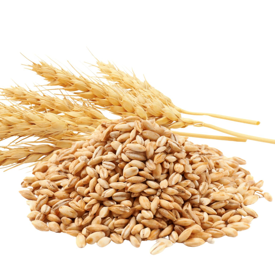 4Lbs Rye Cover Crop Seeds for Planting, Rye Grass Seeds for Garden, Lawn, Outdoor Ground Cover