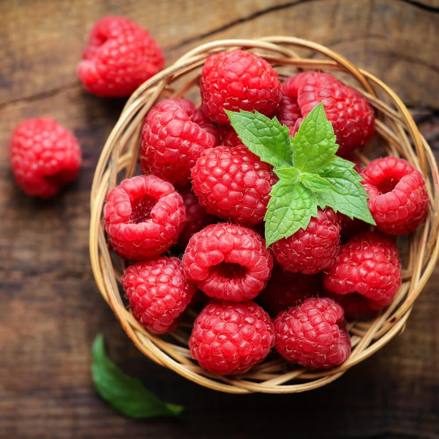 Red Raspberry Plant Live, Sweet Raspberry Bush Shrub to Grow, 6-8'' Tall in 4 Inches Pot, Raspberries Seedling for Outdoor Growing