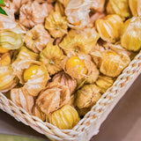 3 Live Ground Cherry Tomatillo Tomato Tree Live Plant Starter 4-7 Inches, Gooseberry Plants Tree, Gooseberry Sweet Tart Bush for Garden Growing