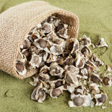 50 Moringa Seeds for Planting, Oleifera Tree Seeds, Suitable for Outdoor Growing