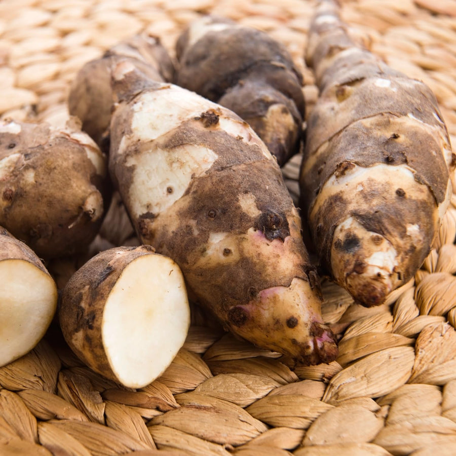 0.5 Lb Jerusalem Artichoke Tubers, Sunchoke for Planting, Hardy Perennial Vegetable for Home Garden