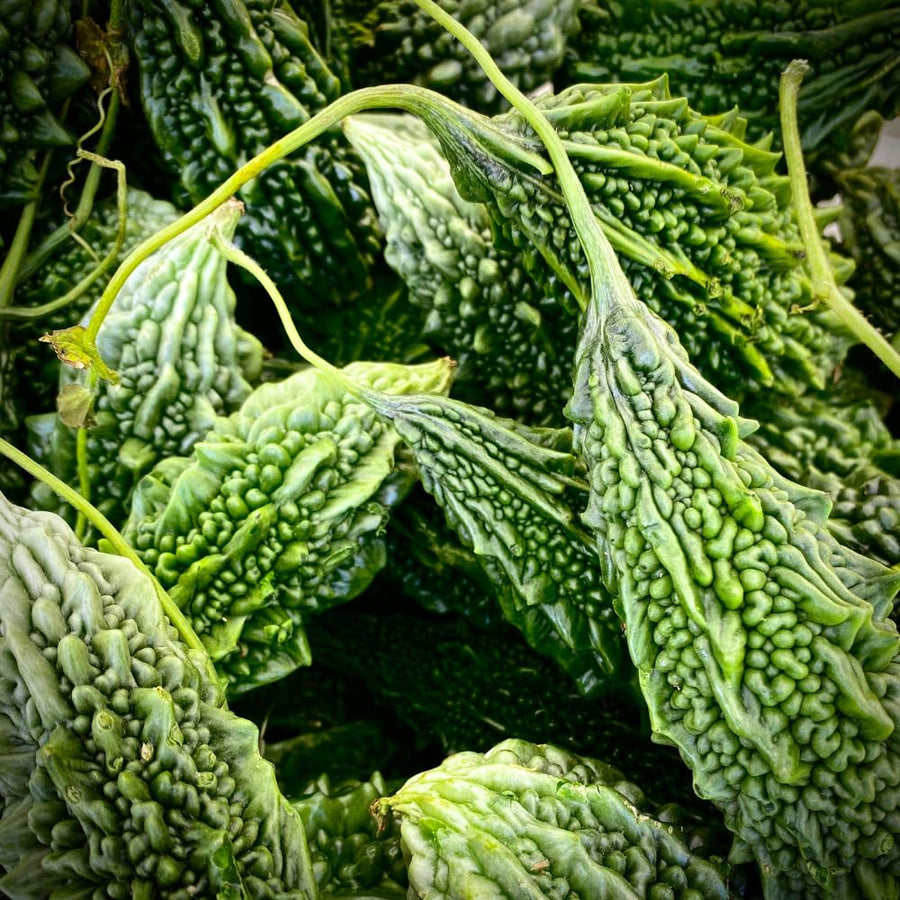 20 Long Bitter Melon Seeds for Planting, Green Bitter Gourd Vegetable Seeds for Home Garden, Vegetable Vine Plants Seed
