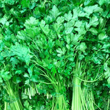 250 Parsley Seeds for Planting, Herb Seeds for Garden, Indoor and Outdoor Growing