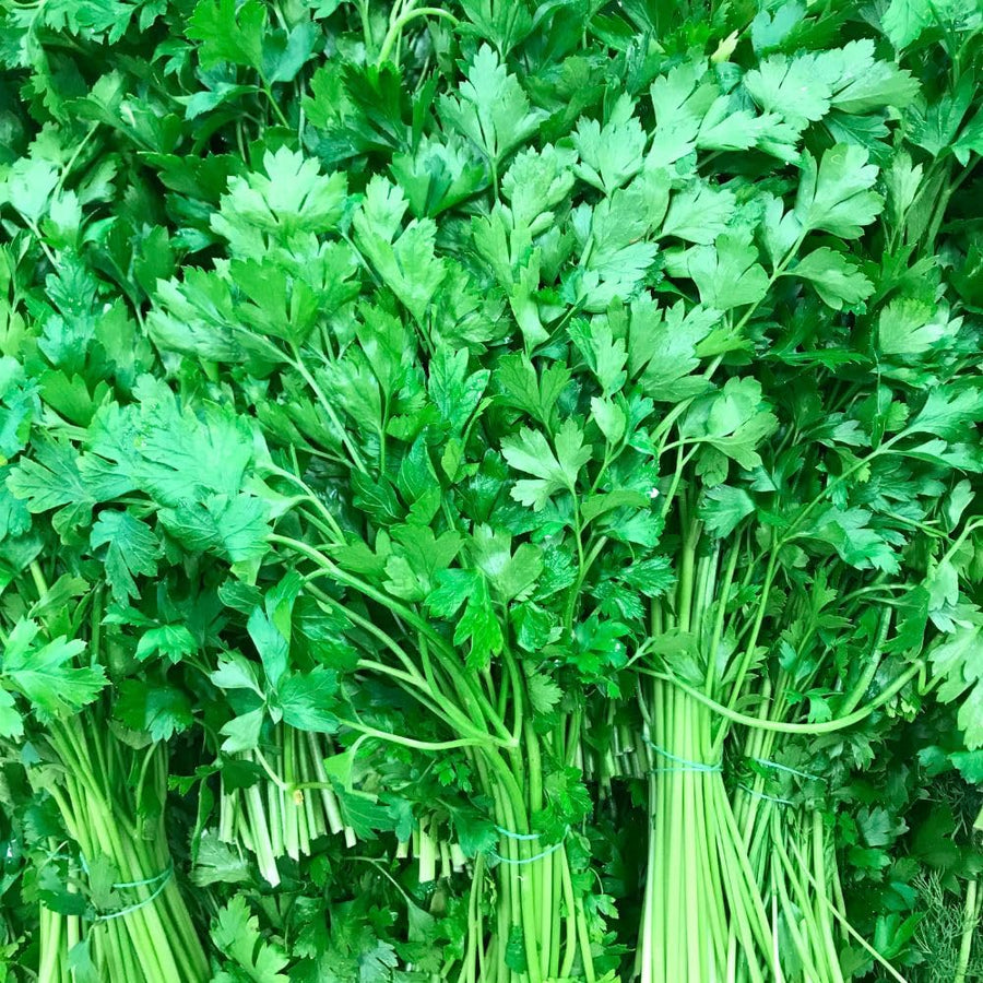 250 Parsley Seeds for Planting, Herb Seeds for Garden, Indoor and Outdoor Growing
