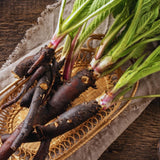 9 Comfrey Roots Plants Live, 1 to 2 Inc in Height, Comfrey Rhizomes Cutting for Planting, Zone 3 to 9