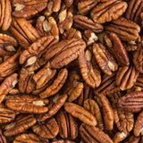 2 Pecan Tree Live Plant, Hardy Pecan Nut, 8-10 Inches Tall, Cold Hardy Nut Tree for Garden