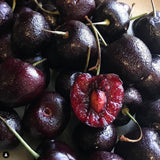 2 Wild Black Cherry Trees Live Plants, Sweet Cherry Plant Live Fruit Tree, 12-18 Inc Height, Cold Hardy Cherry Tree Plant for Planting, Bareroots Dormant