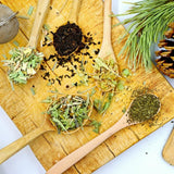 Pack 800 Lemongrass Seeds for Indoor or Outdoor Growing, Fragrant Culinary Seeds for Planting