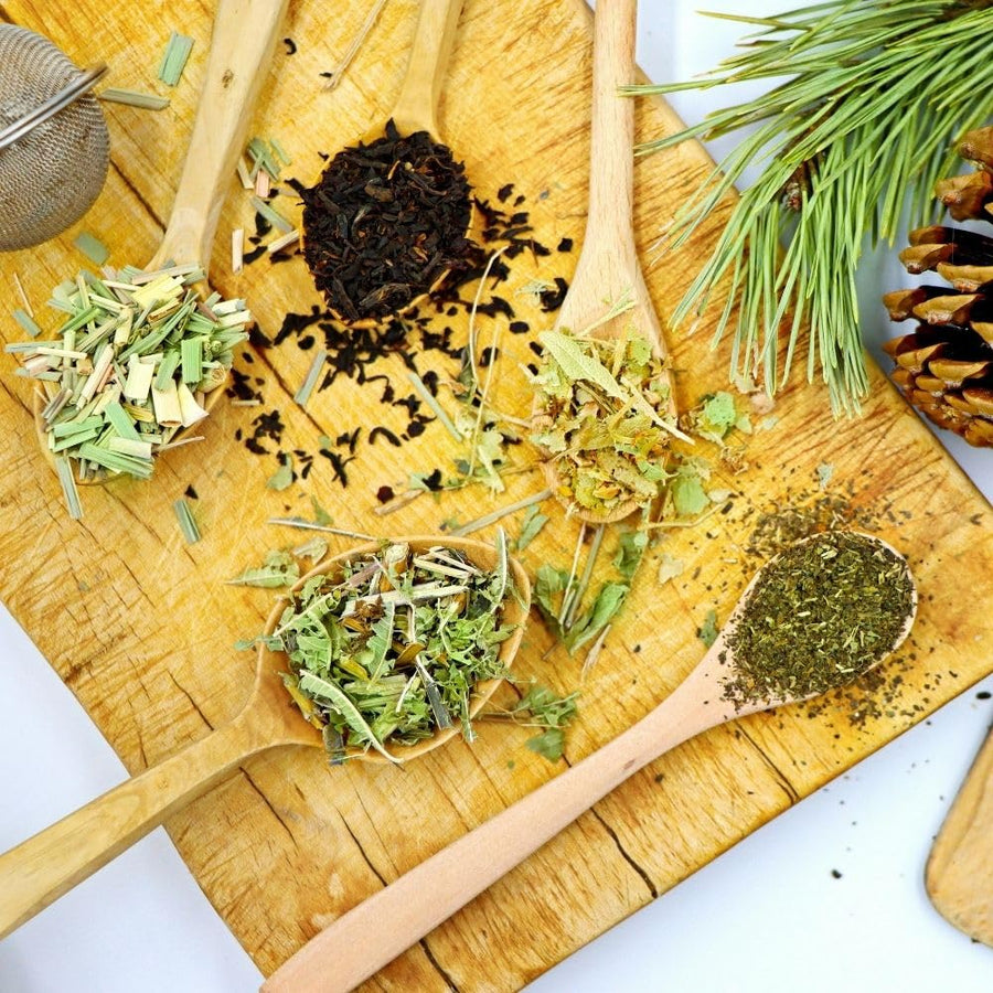 Pack 800 Lemongrass Seeds for Indoor or Outdoor Growing, Fragrant Culinary Seeds for Planting