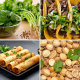 500 Cilantro Seeds for Planting Outdoor, Cilantro Plant Fast Growing Herb, Home Garden Plant Seeds