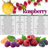 Large Raspberry Plants Live for Planting, 10 Months Old Raspberry Bushes Ready to Plant Outdoor, Cold Hardy for Year-Round Planting