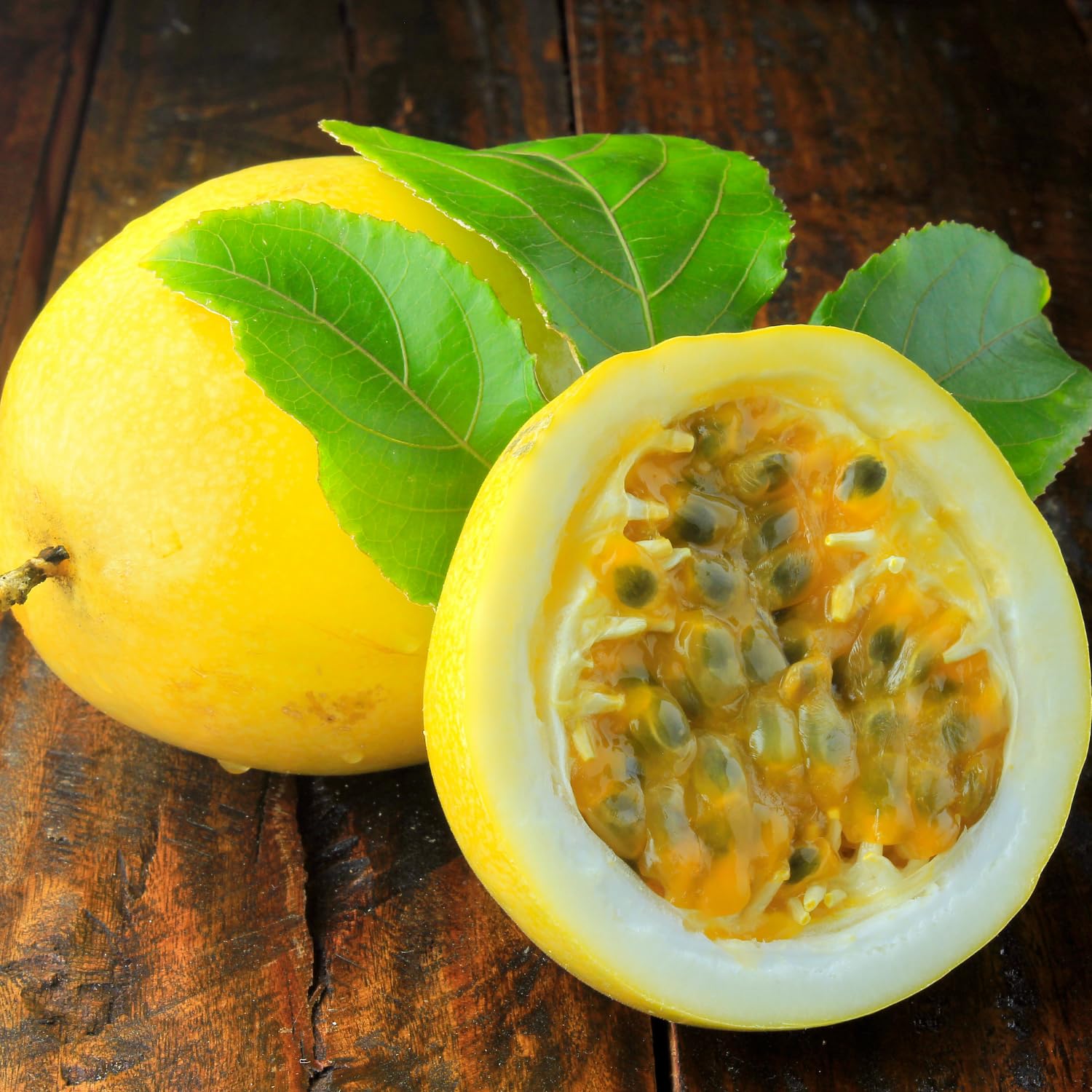 Yellow Passion Fruit Plant, 6-8 Tall Passiflora Plants in 4 Inch Pot, Tropical Passion Fruit Vine for Outdoor Growing, Passionfruit Seedling