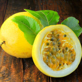 Yellow Passion Fruit Plant, 6-8 Tall Passiflora Plants in 4 Inch Pot, Tropical Passion Fruit Vine for Outdoor Growing, Passionfruit Seedling