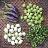 Pack of 100 Mixed Eggplant Seeds for Planting, Assorted Eggplant Vegetable Seeds for Outdoor Gardening, Suitable for Home Garden Beds, Raised Beds, or Containers