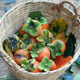 Potted Persimmon Fruit Trees Live Plants, 6 to 12 Inches Tall, Cold Hardy, American Persimmon Tree