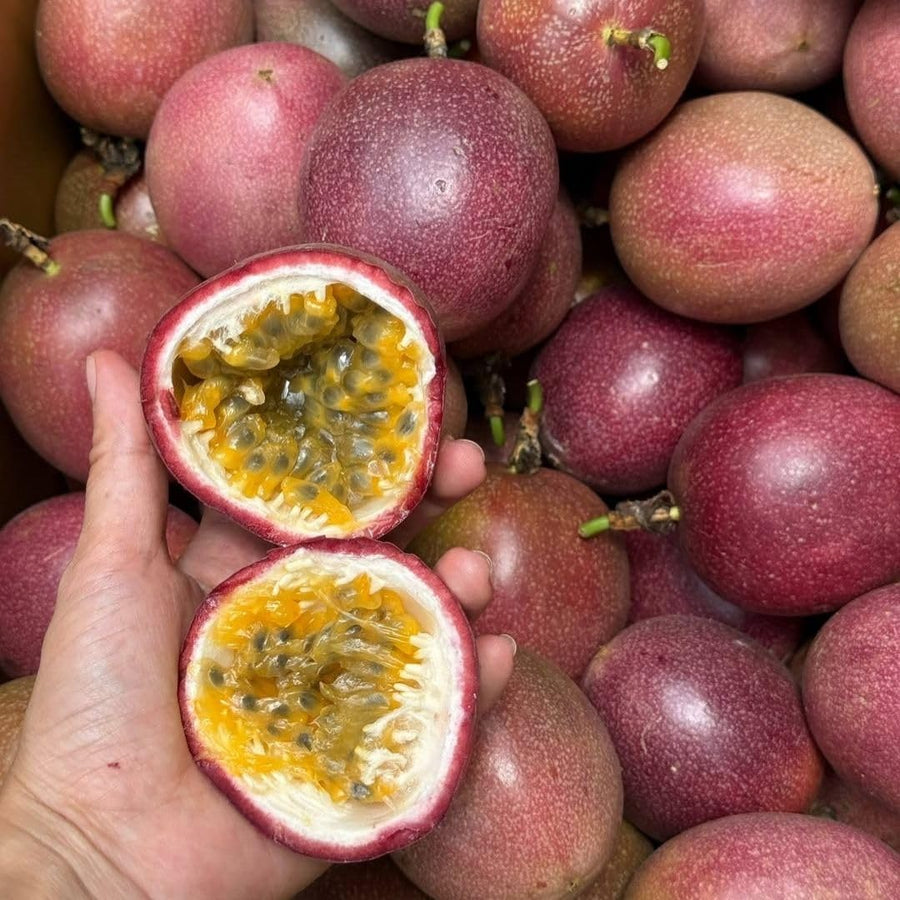 Red Passion Fruit Plant Live 4-7" Height, Tropical Passion Fruit Vine Plants, Well Rooted Plant for Outdoor Planting