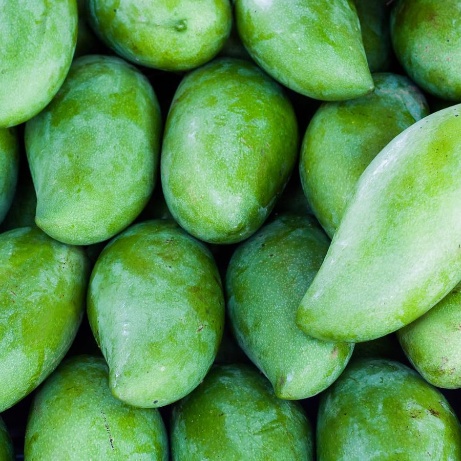 Green Sweet Mango Tree, Mango Plant Live Ready to Plant, 1.5-2 Feet Tall, Edible Tropical Fruit Tree, Garden or Containers Planting