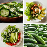 Pack of 60 Green Cucumber Seeds, Cucumber Seeds for Garden, Vegetable Planting Seed