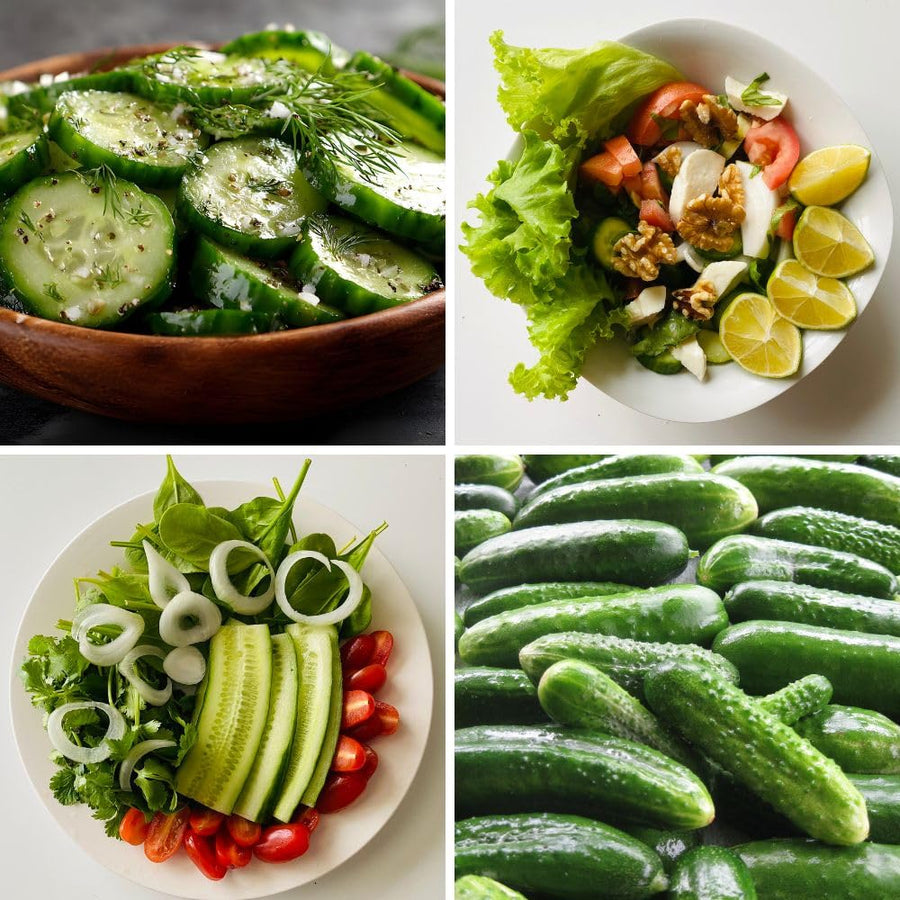 Pack of 60 Green Cucumber Seeds, Cucumber Seeds for Garden, Vegetable Planting Seed