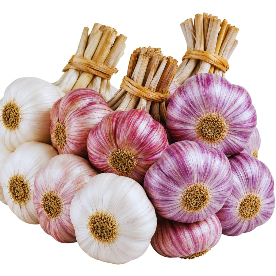 4 Mix Garlic Bulbs for Planting, Garlic for Planting, High-Yield Hardy Garlic for Garden