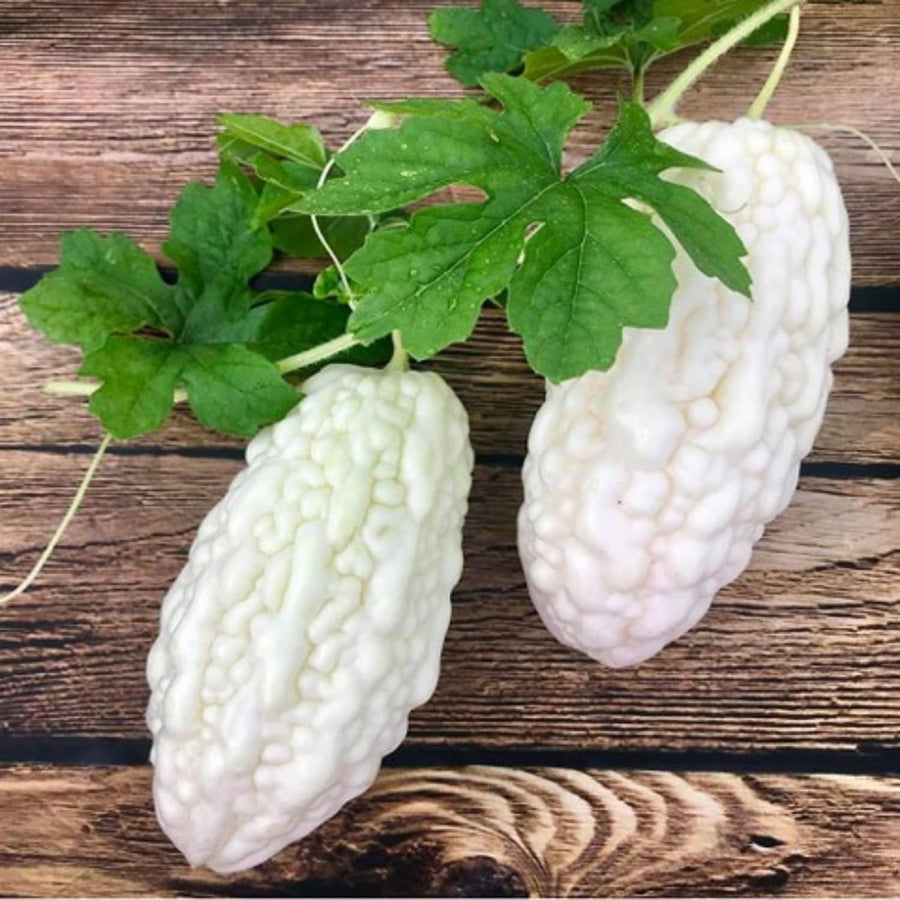 20 Bitter Melon Vegetable Seeds, Bitter Gourd Seeds for Outdoor Planting (White)