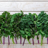 Kale Plant Live, Vegetable Live Plant, Kale Live Plant Pot, 4 Inc Potted
