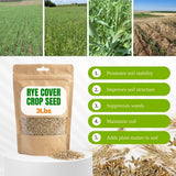 3 Pound Rye Cover Crop Seeds, Winter Rye Seeds for Garden Ground Cover and Seasonal Growing
