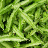 25 Winged Bean Seeds for Planting, Vegetable Vine Plant Seeds Gardening