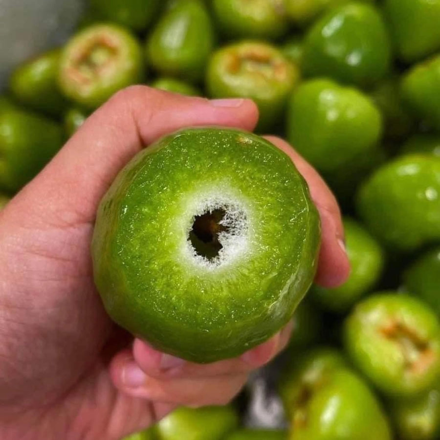 Sweet Green Wax Apple Tree Live Plant, 3 Feet Tall Tropical Fruit Tree, Zones 9-11 for Outdoor Indoor Planting, Rare Fruit
