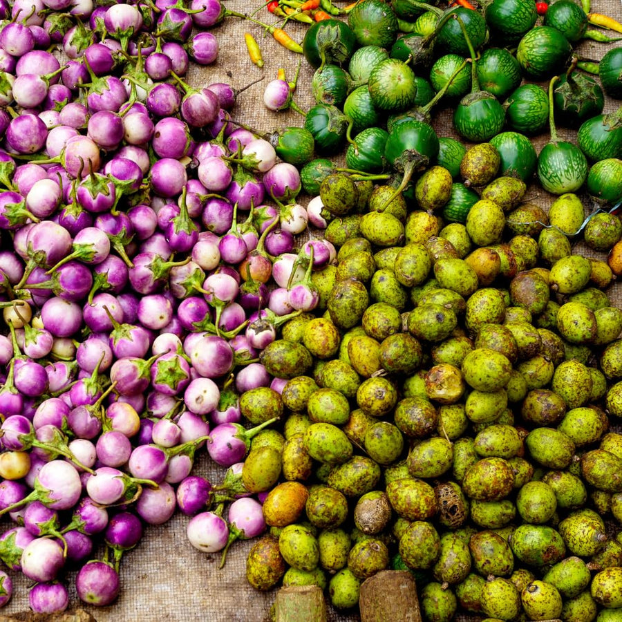 100 Mix Round Eggplant Seeds for Planting, Eggplants Seeds, Vegetable Plant Garden