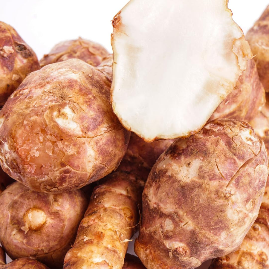 16oz Jerusalem Artichoke Bulbs for Planting, Hardy Perennial Sunchoke Tubers, Home Garden Growing
