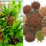 100 Aquarium Grass Seeds for Planting, Aquatic Plant Seeds Live Aquarium Plants, Aquarium Grass Plants