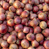 Set of 100 Walking Onion Seeds, Walking Onion Seeds for Planting, Hardy Perennial Vegetable for Pation, Indoor Outdoor Garden
