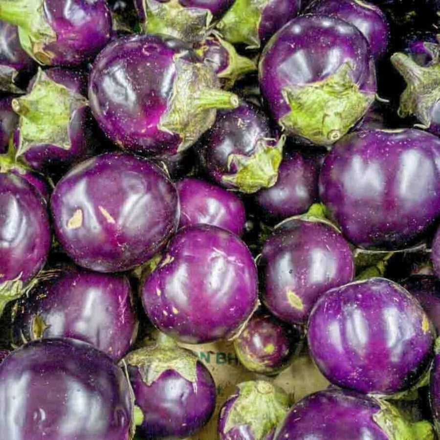 Pack of 100 Purple Round Eggplant Seeds for Planting, Assorted Eggplant Vegetable Seeds for Outdoor Gardening, Suitable for Home Garden Beds, Raised Beds, or Containers