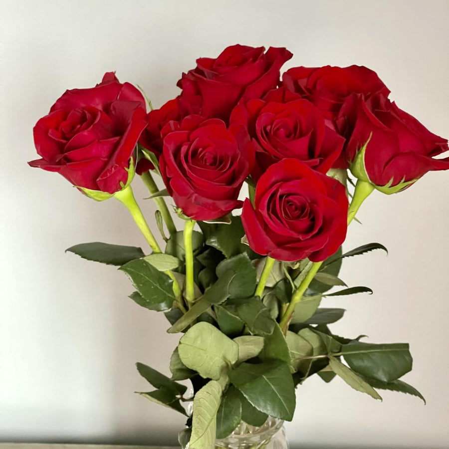 TANKDA Mini Rose Bush, Miniature Rose Flowers in 3'' Pot, Compact Flowering Rose for Indoor Outdoor Gardens and Containers (Red Roses)