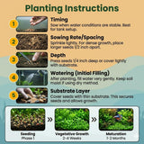 100 Aquarium Grass Seeds for Planting, Mix Aquarium Seeds, Aquatic Grass Garden