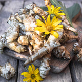 1 Lb Sunchoke Tubers for Planting, Jerusalem Artichoke Roots, Edible Vegetable Tubers, Ready to Grow, Suitable for Outdoor Garden