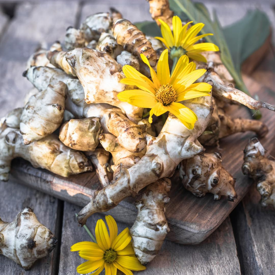 1 Lb Sunchoke Tubers for Planting, Jerusalem Artichoke Roots, Edible Vegetable Tubers, Ready to Grow, Suitable for Outdoor Garden