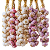 4 Mix Garlic Bulbs for Planting, Garlic for Planting, High-Yield Hardy Garlic for Garden