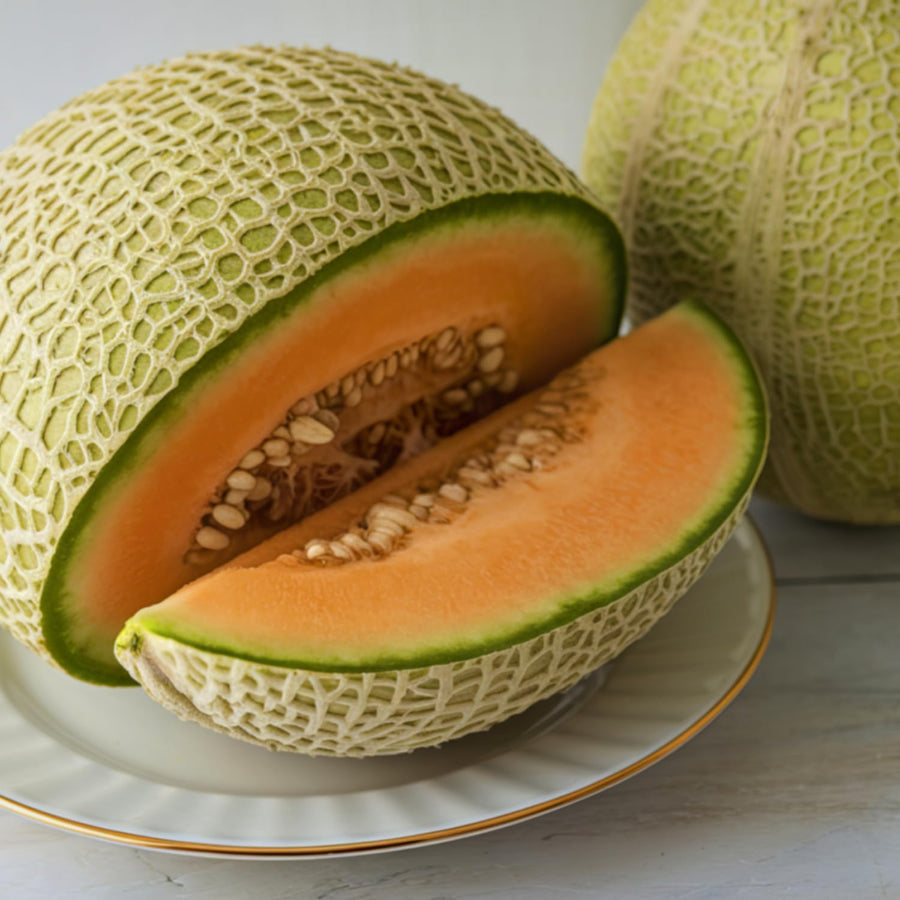 2 Live Hales Melon Plants, Sweet Melon for Planting, Vegetable Plant 4-6 Inches Tall in 4 Inches Pot, Edible Fruit for Garden