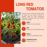 500 Long Red Tomato Seeds for Planting, Tomato Seeds, Heirloom Vegetable Seed, Sweet Tomatoes for Container and Outdoor Planting