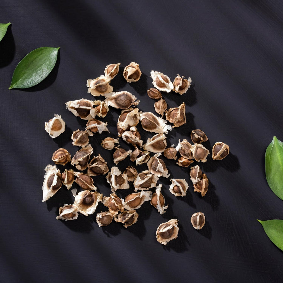 100 Moringa Seeds for Planting, Moringa Oleifera Vegetable Plant Seeds Gardening Outdoor
