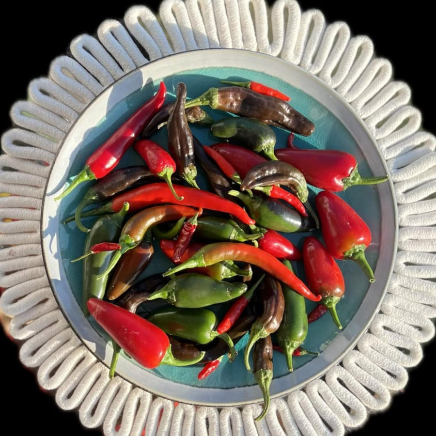 200 Pepper Seeds for Planting, Pepper Seeds for Indoor Outdoor Garden
