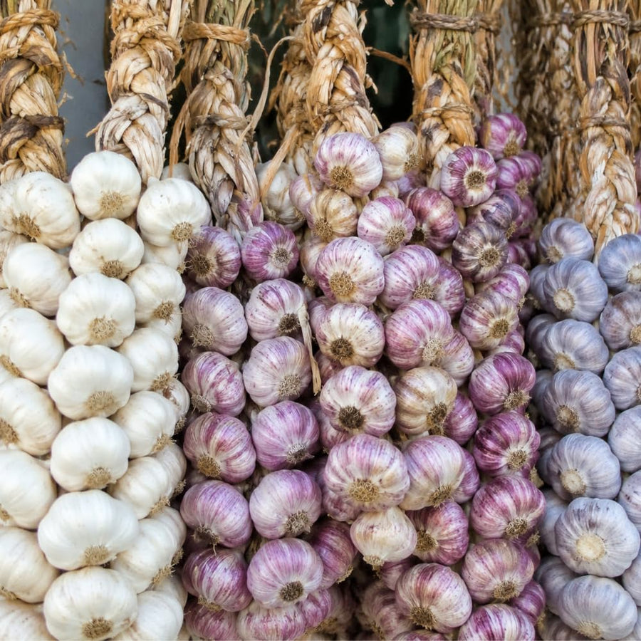 4 Mix Garlic Bulbs for Planting, Assorted Heirloom Garlic Seed Bulbs, Hardneck and Softneck Varieties, High Yield Garlic for Fall, Spring Planting