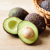 HASS Avocado Tree Live Plant, Avocado Fruit Tree for Garden or Container Growing, Well Rooted 6-10 Inches, Zones 9–11