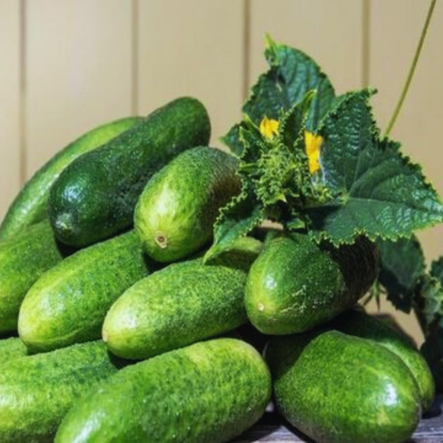 400 Green Cucumber Seeds for Planting, Cucumber Vegetable Plant Seeds Garden