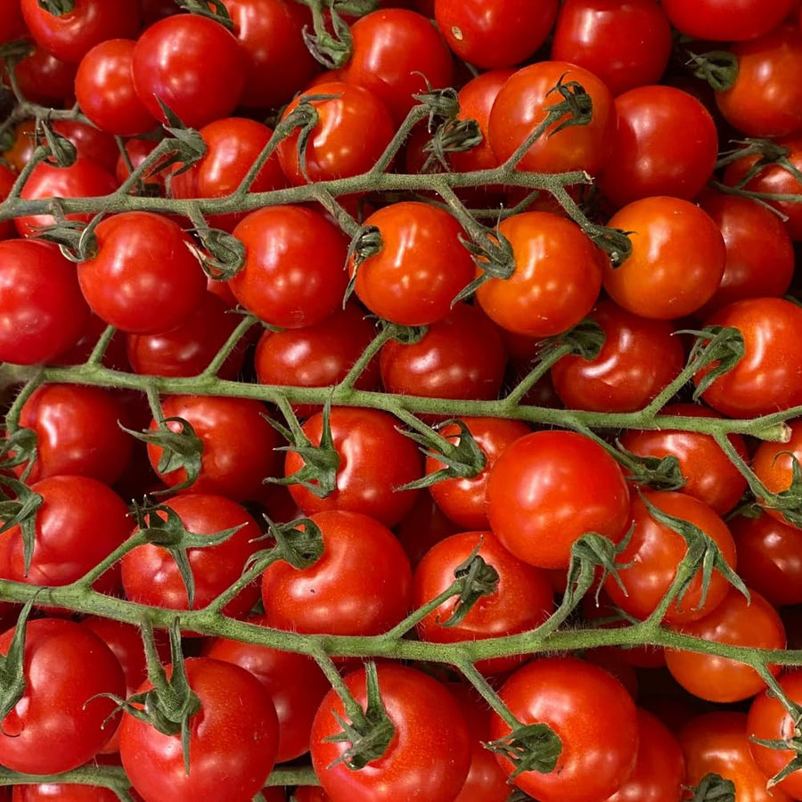 1000 Large Red Cherry Tomato Seeds, Sweet Red Tomatoes, Tomato Seeds for Outdoor Planting
