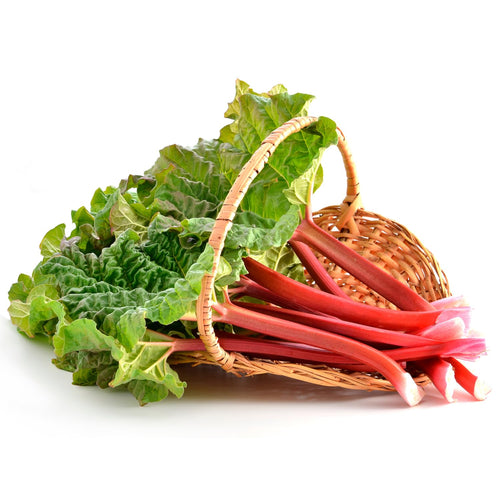Pack 5 Rhubarb Plants Roots for Planting Outdoor, Red Rhubarb Plant Roots, Vegetable Root Live, Bareroot for Planting